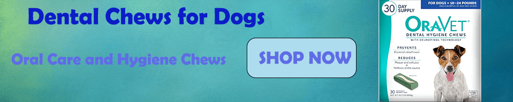 Oravet Dental Chews – Oral Care for Dogs | Shop Now A promotional banner for Oravet Dental Hygiene Chews for Dogs. The ad features a 30-day supply box with a small dog on the packaging. The banner includes the text "Dental Chews for Dogs – Oral Care and Hygiene Chews" with a "SHOP NOW" call-to-action button. The background is a textured blue gradient.