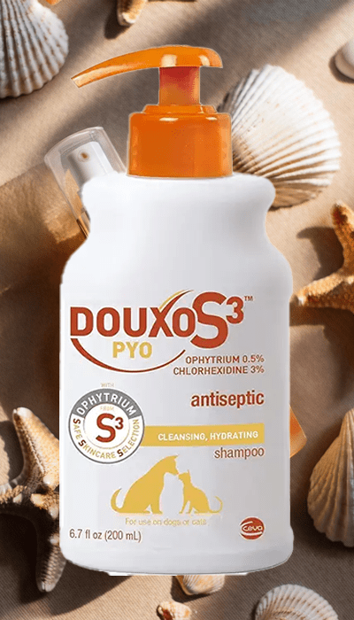 Shop Douxo S3 PYO Antiseptic Shampoo – Hydrating, Antimicrobial Care for Dogs & Cats. Douxo S3 PYO Antiseptic Shampoo – Cleansing and hydrating formula with chlorhexidine for dogs and cats, ideal for skin health and infection control