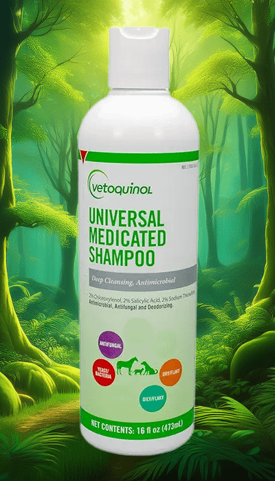 Shop Vetoquinol Universal Medicated Shampoo – Antimicrobial Dog & Cat Shampoo for Skin Health. Vetoquinol Universal Medicated Shampoo – Deep cleansing, antimicrobial formula designed to combat bacteria, fungus, and skin conditions in pets