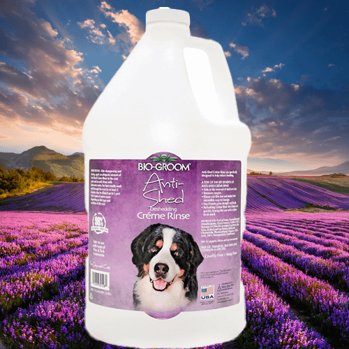 Click to buy Bio-Groom Anti-Shed Crème Rinse – Reduce Shedding and Enhance Coat Health Bio-Groom Anti-Shed Deshedding Crème Rinse, a cruelty-free and soap-free formula designed to reduce shedding and improve coat manageability